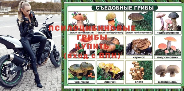 ALPHA PVP Белокуриха