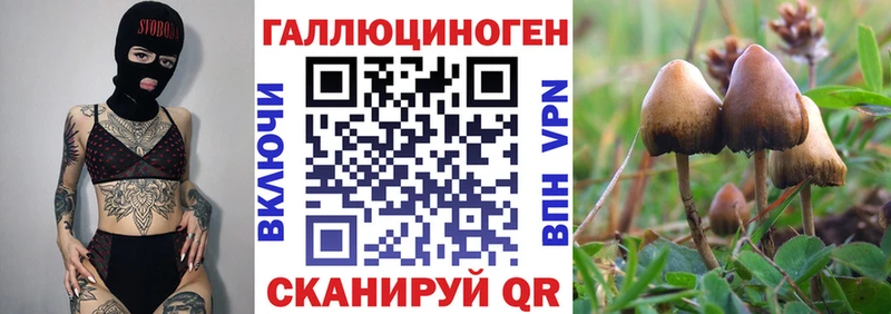 Галлюциногенные грибы прущие грибы  Великие Луки 